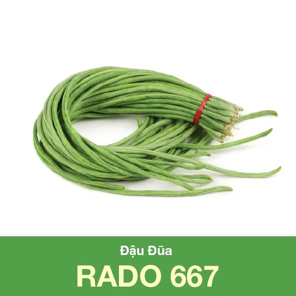 Hạt Giống Đậu Đũa Chịu Nhiệt Rạng Đông Gói 20gram - Shop Hạt Giống Ba Miền Chịu Nhiệt