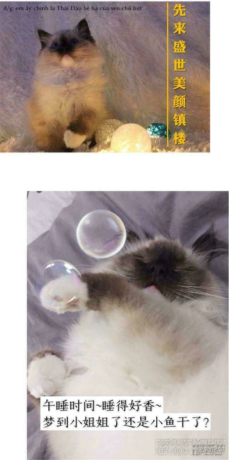 quả nhân có bệnh tên là tương tư chapter 50 14