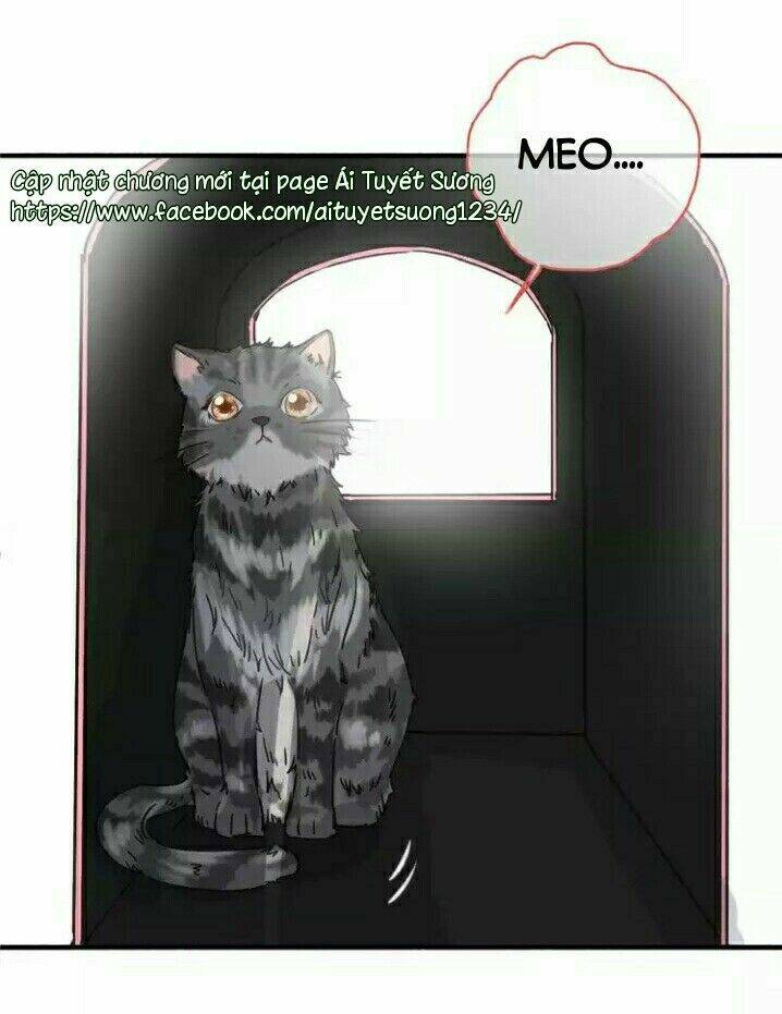 thập quang mật ngữ chapter 5 12