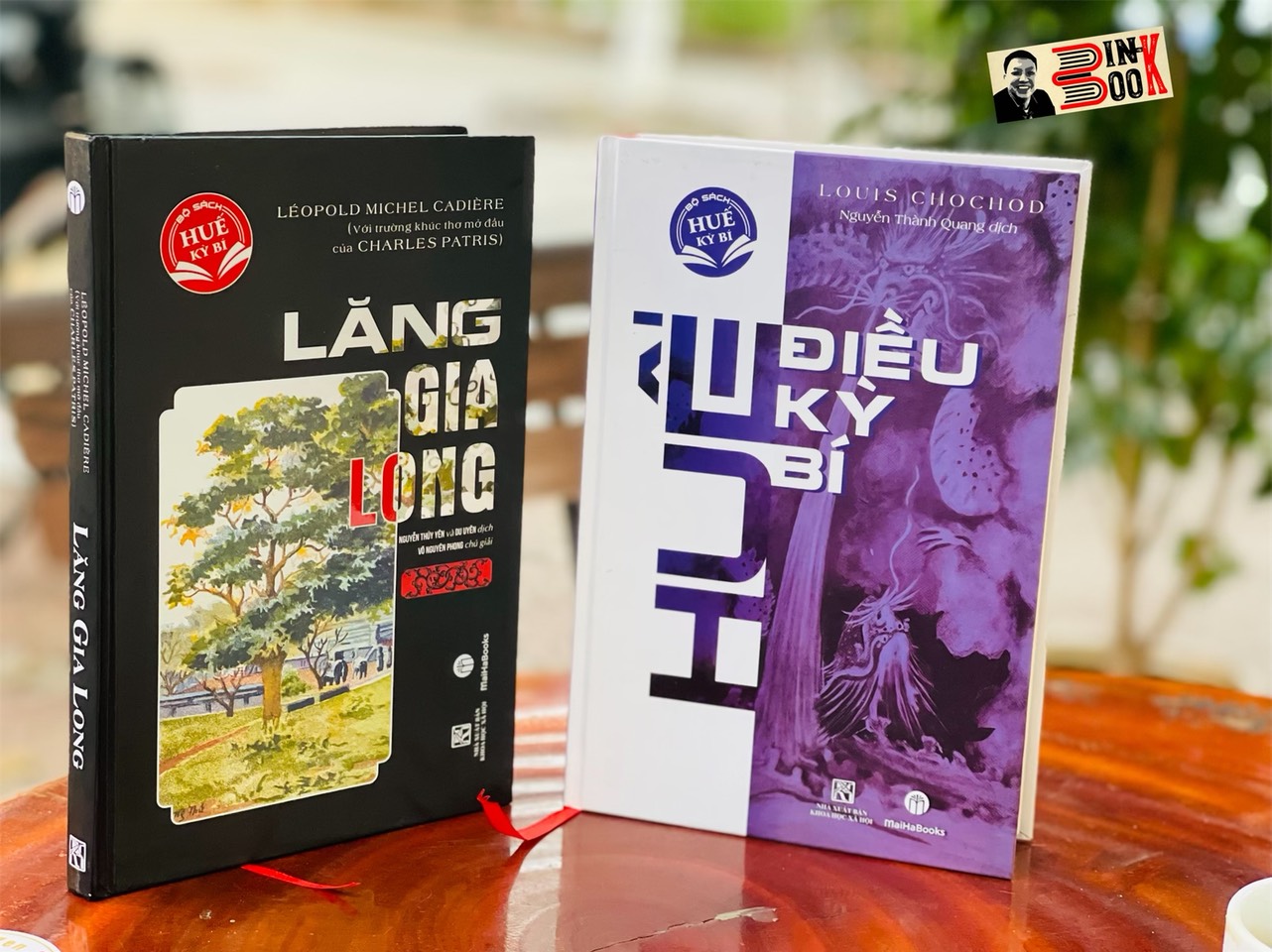 (Combo 2 cuốn bìa cứng) LĂNG GIA LONG - HUẾ - ĐIỀU KỲ BÍ – MaiHaBooks – NXB Khoa Học Xã Hội