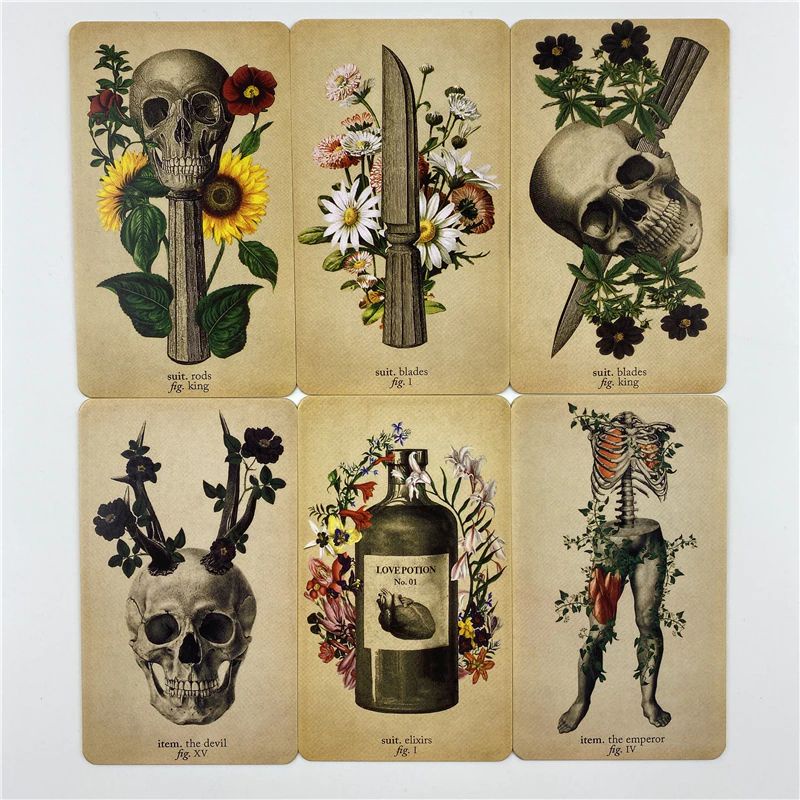 Bộ bài The Antique Anatomy Tarot Hộp sắt