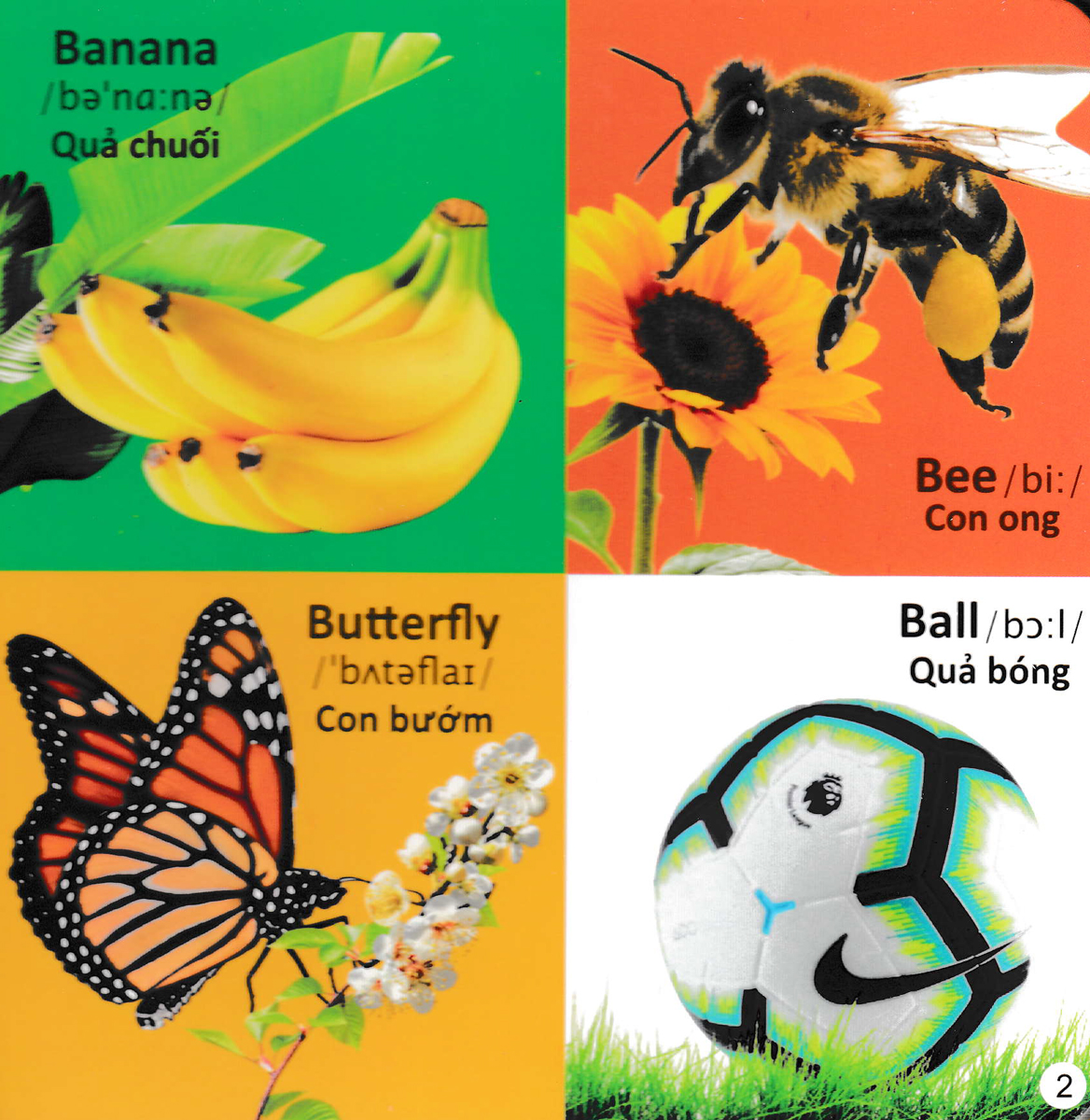 101 Từ Đầu Tiên - Bảng Chữ Cái Tiếng Anh