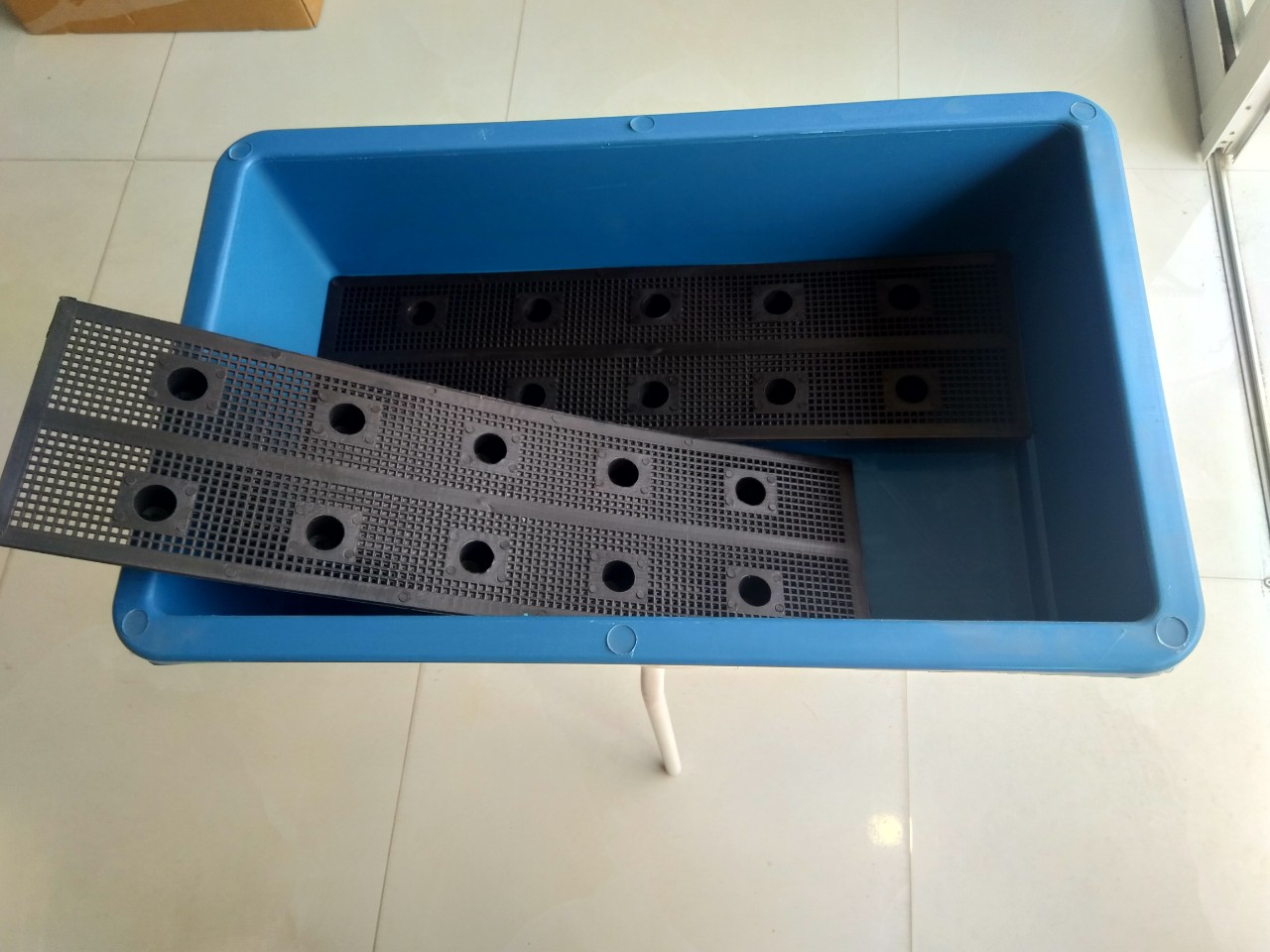 Combo 5 chậu trồng rau, trồng hoa 67x43x20 cm màu xanh dương
