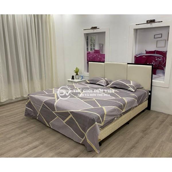Bộ Chăn ga gối 100% cotton m6 và m8 sale đồng giá