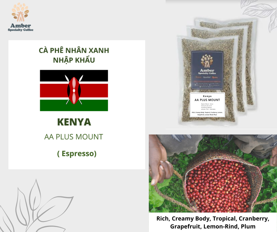 Cà Phê Nhân Xanh Kenya AA Plus Mount | Amber Specialty Coffee