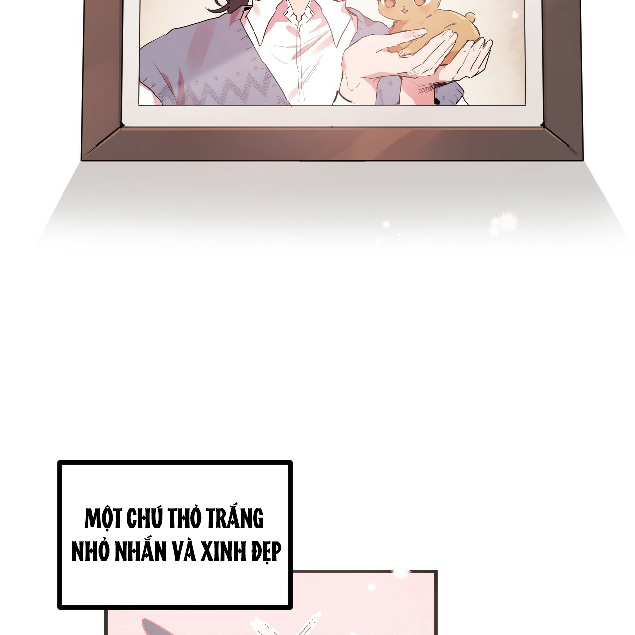 những chú thỏ của hapypy chapter 11 2