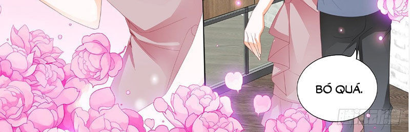 lóe thiểm hôn kiều thê mơ tưởng trốn chapter 256 11