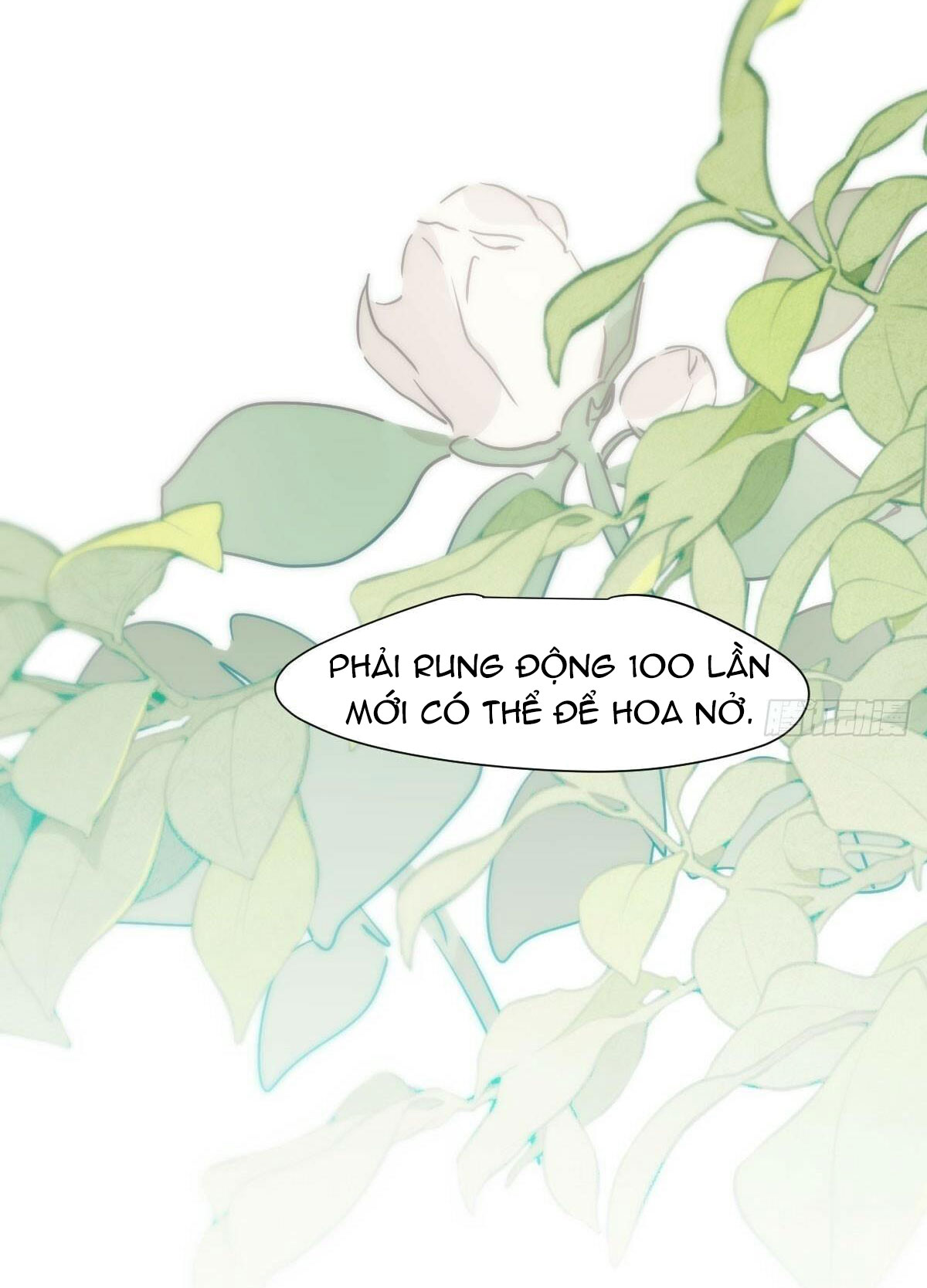 Bắt Lấy Ngao Ngao chapter 242 - Trang 36