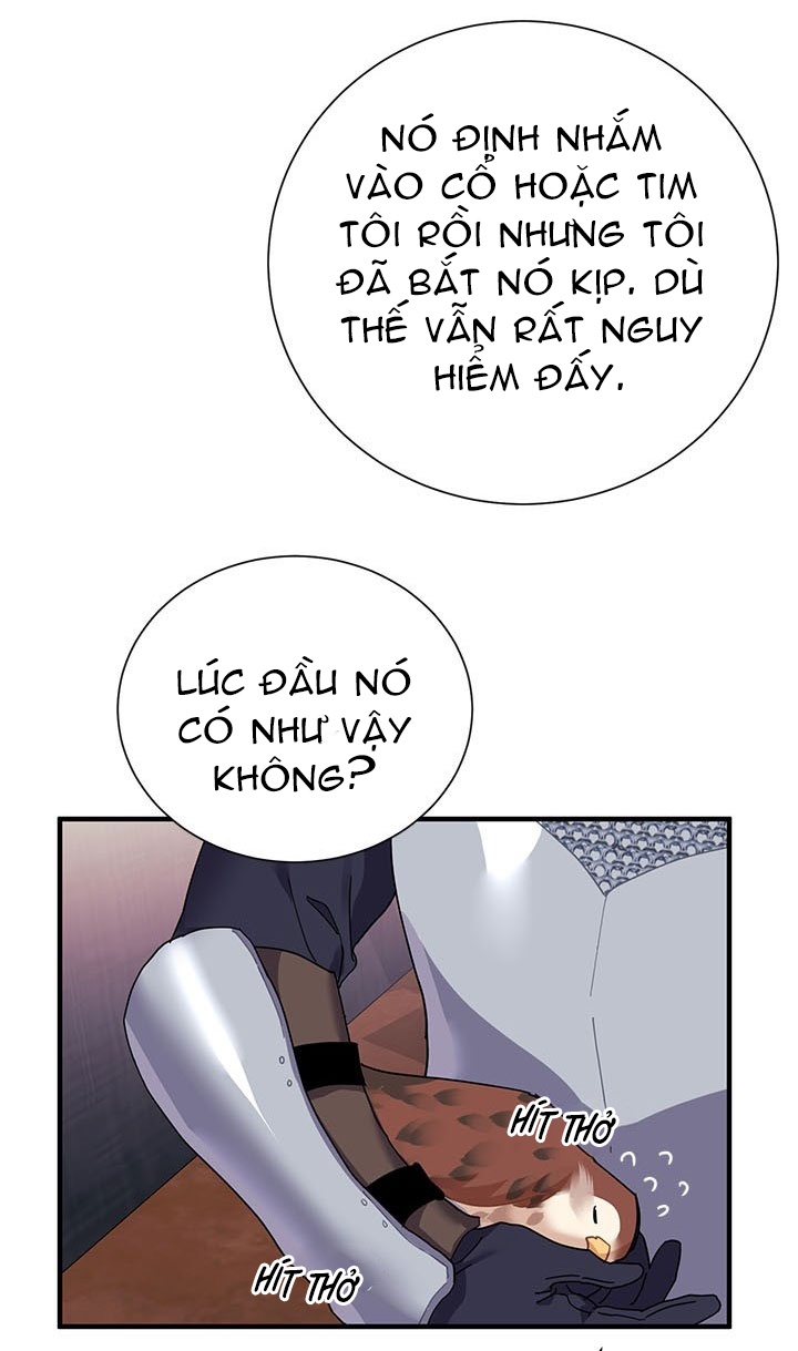 công chúa của loài chim chapter 3 37