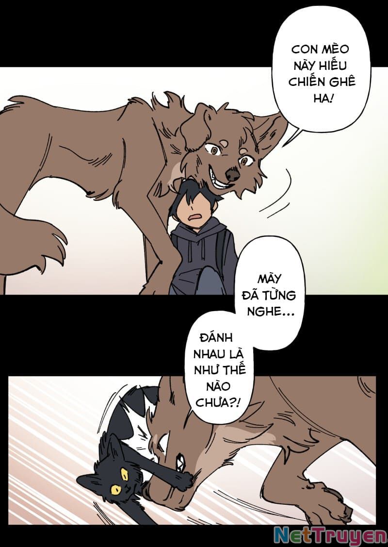 lumine - cội nguồn ánh sáng chapter 97 16
