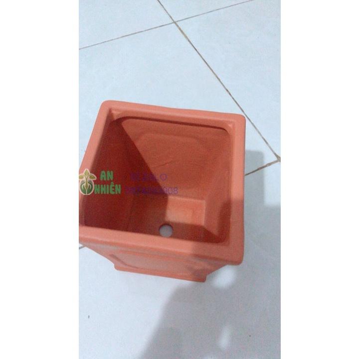 Chậu Đất Nung Trồng Cây
