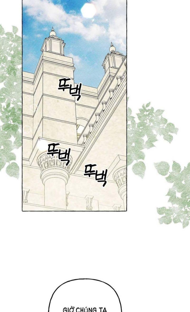 nuôi dưỡng một hắc long chapter 62.1 36