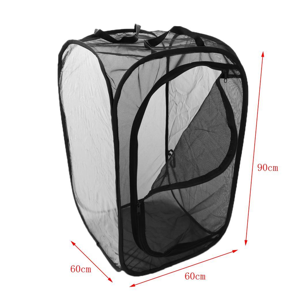 Foldable Insect and Butterfly Breeding Net Terrarium Mesh Cage