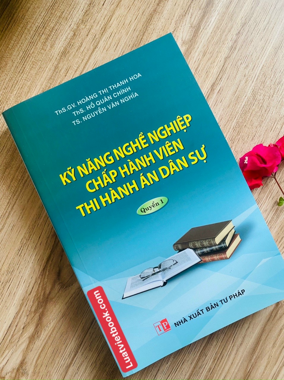 Kỹ năng nghề nghiệp Chấp hành viên Thi hành án Dân sự