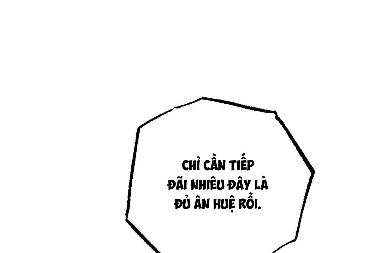 những chú thỏ của hapypy chapter 62 268