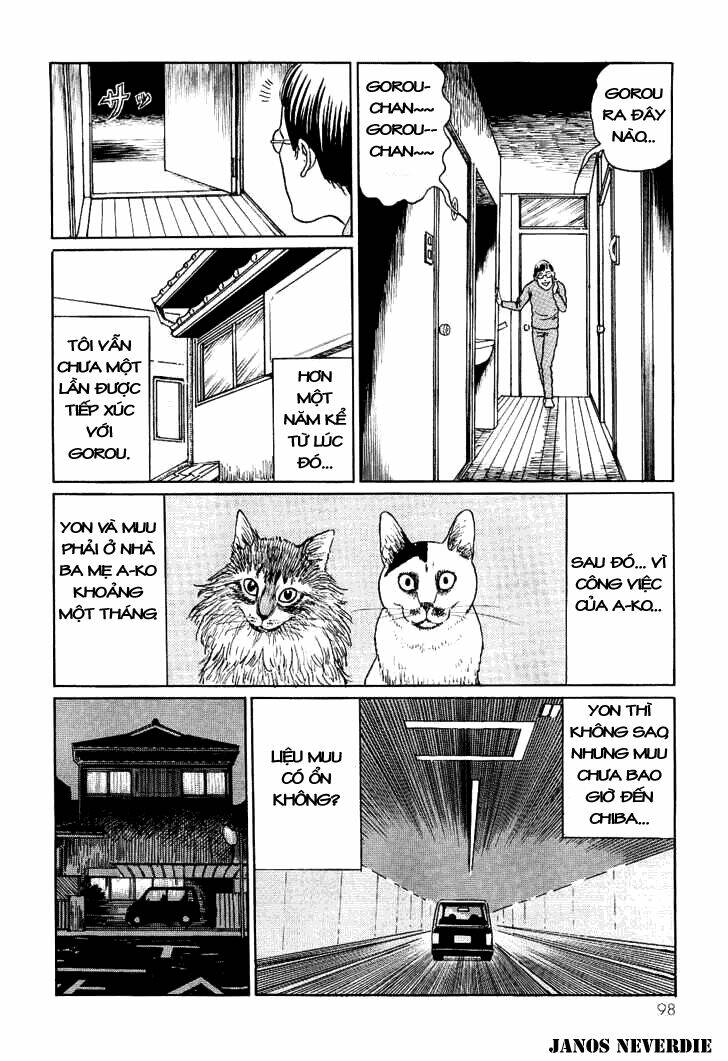 ito junji cat's diary chapter 9 8