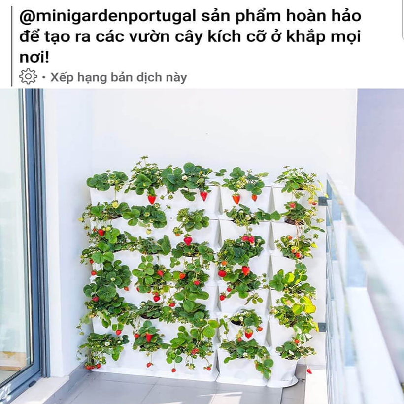 Khung Module Rau Ban Công dạng Đứng VerticalMinigarden nhập khẩu Bồ Đào Nha với 8 chậu kèm 2 Tray hứng nước và bộ dây tưới nhỏ giọt lắp sẵn