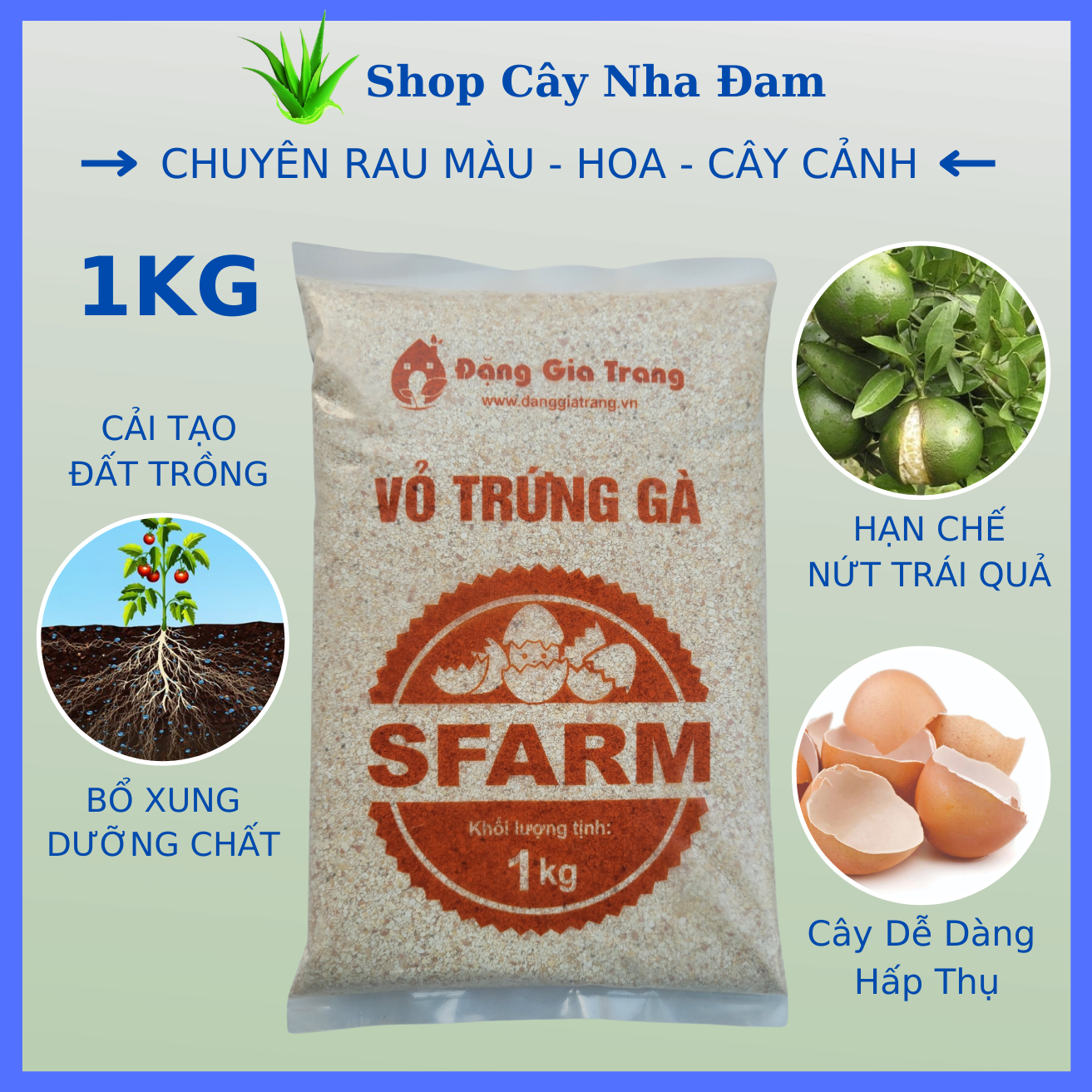 Vỏ Trứng Gà Đã Xử Lý Giúp Cây Khoẻ Mạnh, Hạn Chế Côn Trùng, Sâu Bệnh Cho Mọi Cây Trồng