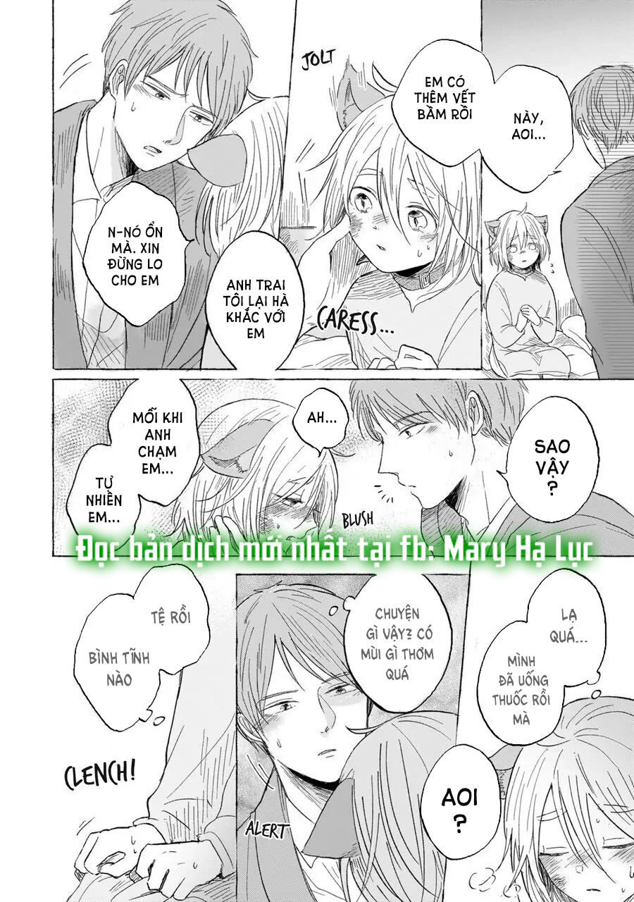 neko mimi omegaverse chapter 6.1 14