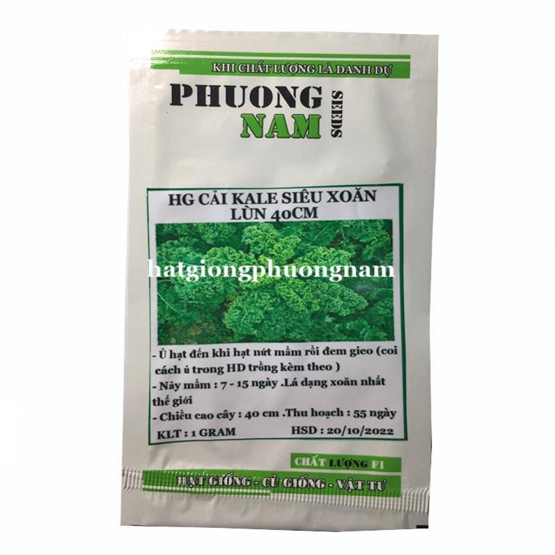 1 GR - HẠT GIỐNG CẢI KALE SIÊU XOĂN LÙN 40 CM
