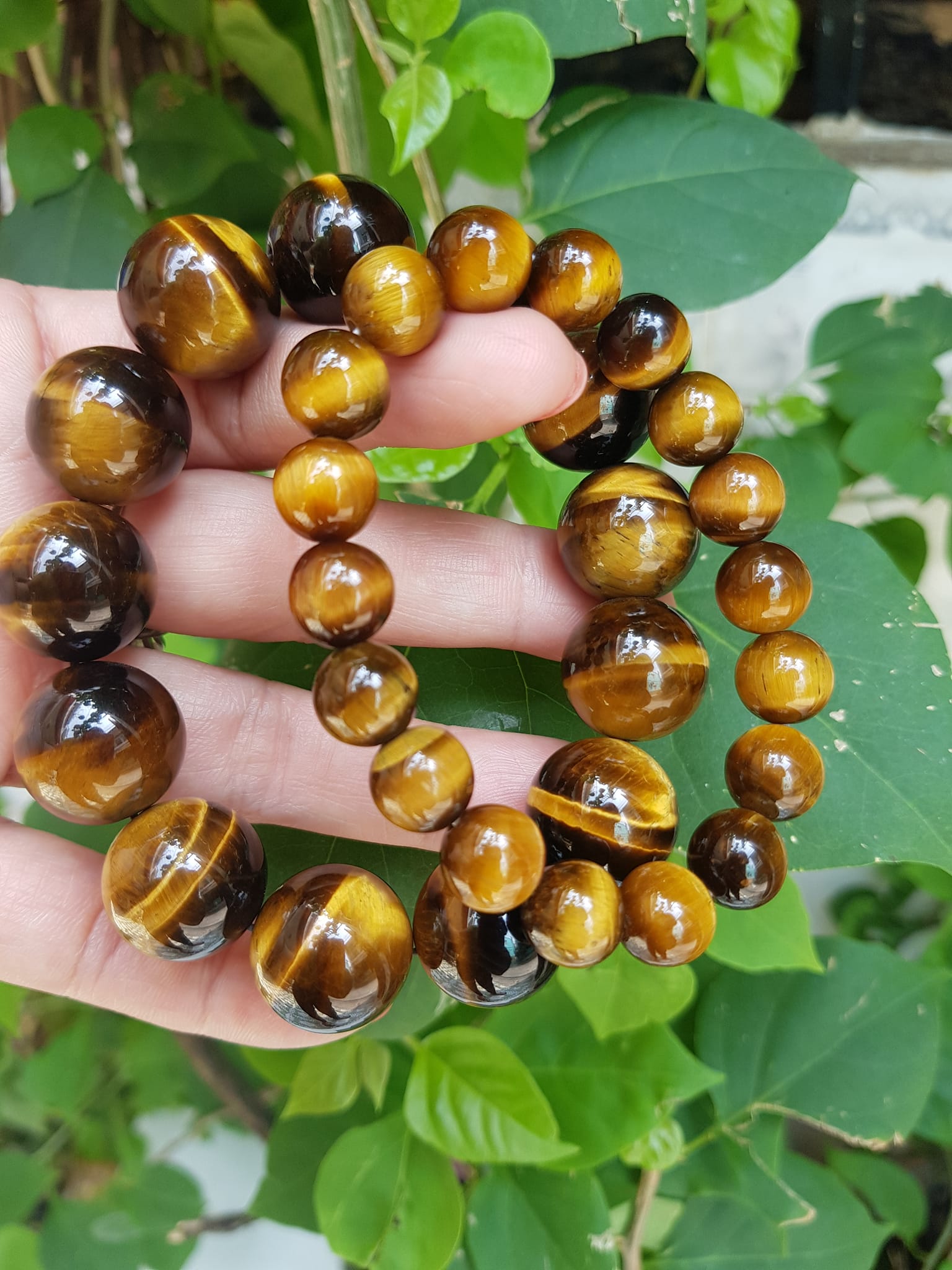 Vòng tay cặp Đá Mắt Hổ Tự Nhiên Vàng Nâu đem lại sự giàu có may mắn Vòng phù hợp với vợ chồng anh chị mệnh Thổ và mệnh Kim ạ Cặp vòng size 10mm và 16mm đeo rất đẹp tốt ạ