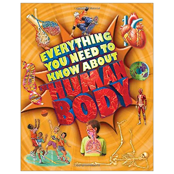 Everything You Need to Know About the Human Body