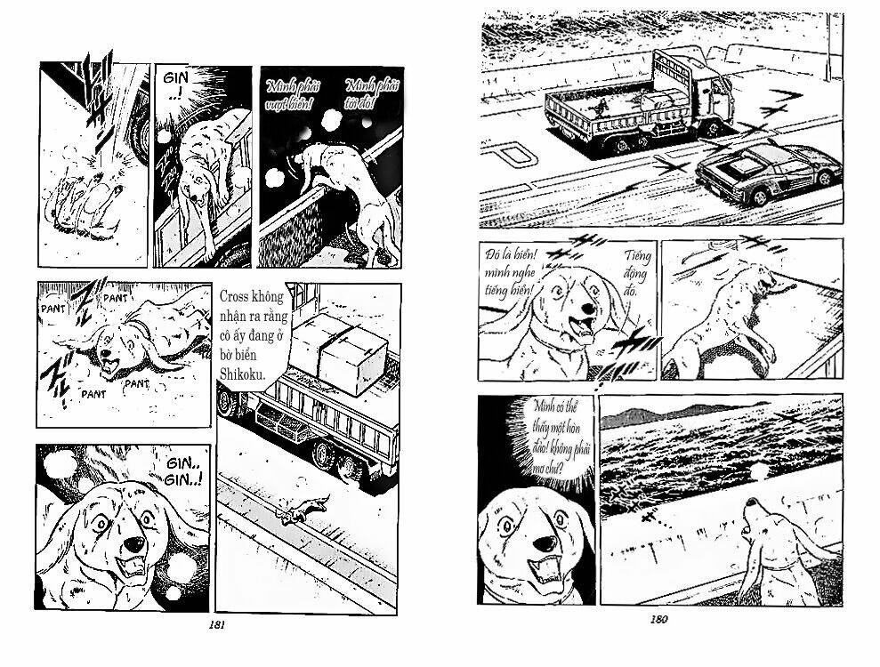 chú chó có nghĩa - ginga nagareboshi gin chapter 28 29
