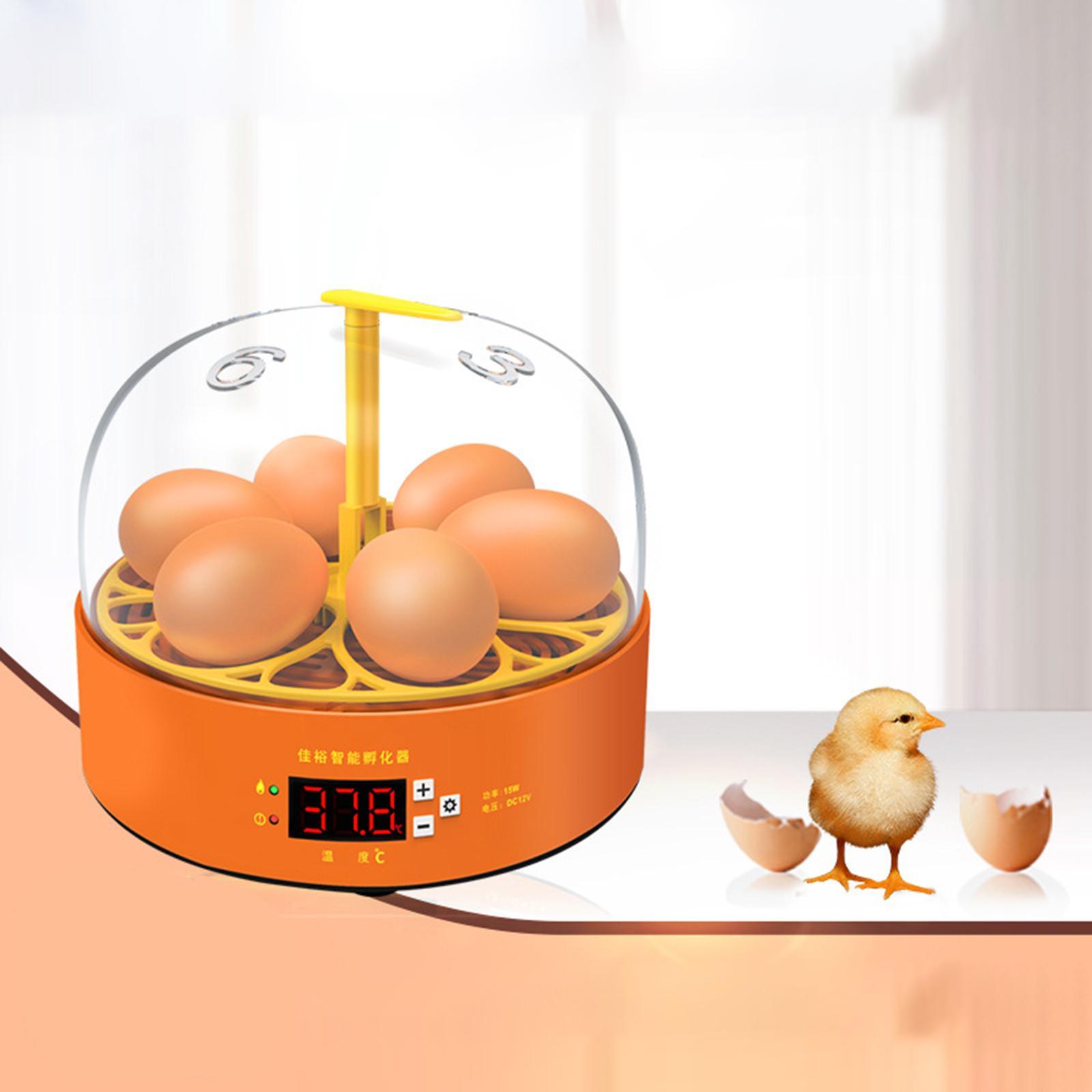 Eggs Incubator Children Temperature Controller Manual Turning Lamp