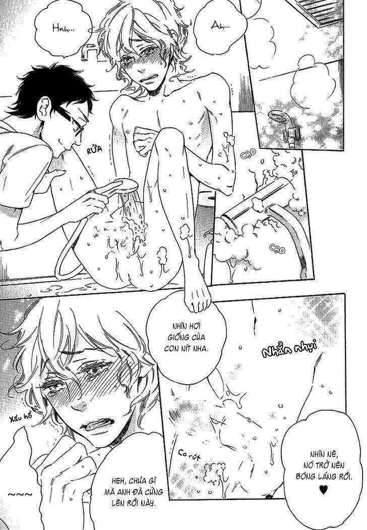 stay gold – bài học tình yêu từ a đến z chapter 5 14