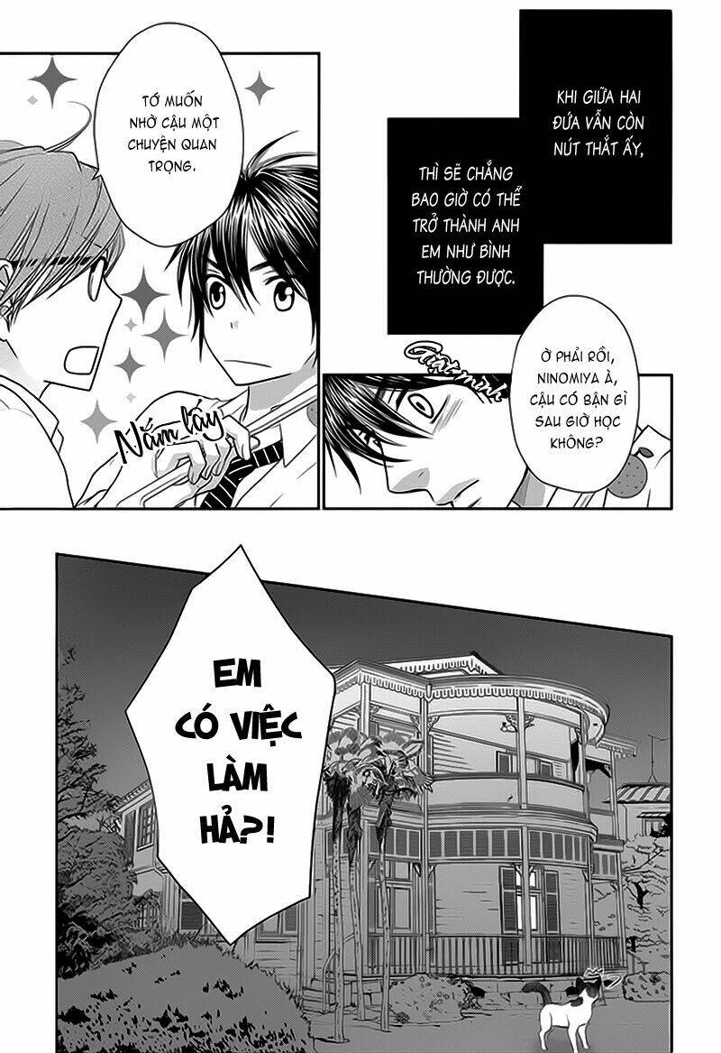 nekoka danshi no shitsukekata chapter 10 15