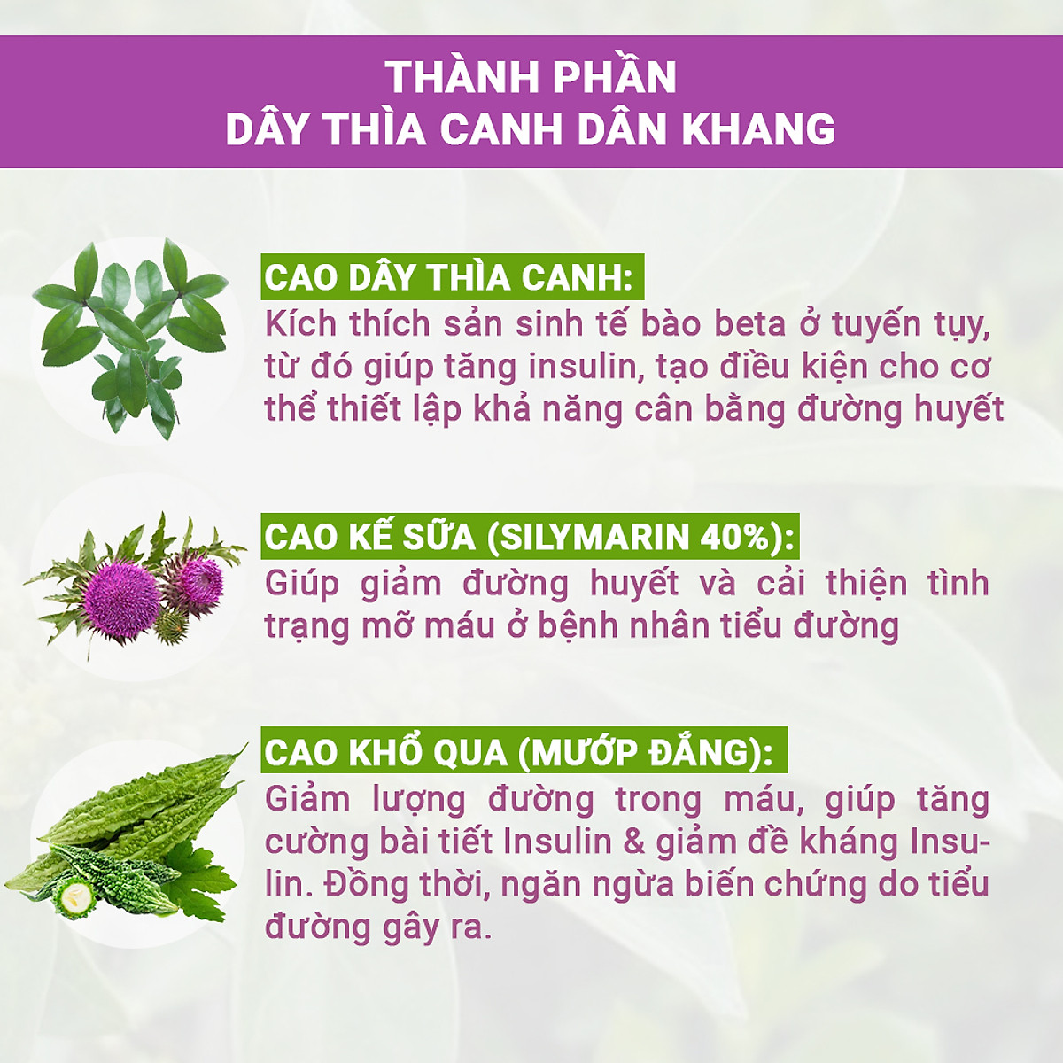 Dây Thìa Canh Dân Khang Hỗ Trợ Hạ Đường Huyết Giảm Nguy Cơ Biến Chứng Của Bệnh Tiểu Đường (30 viên)