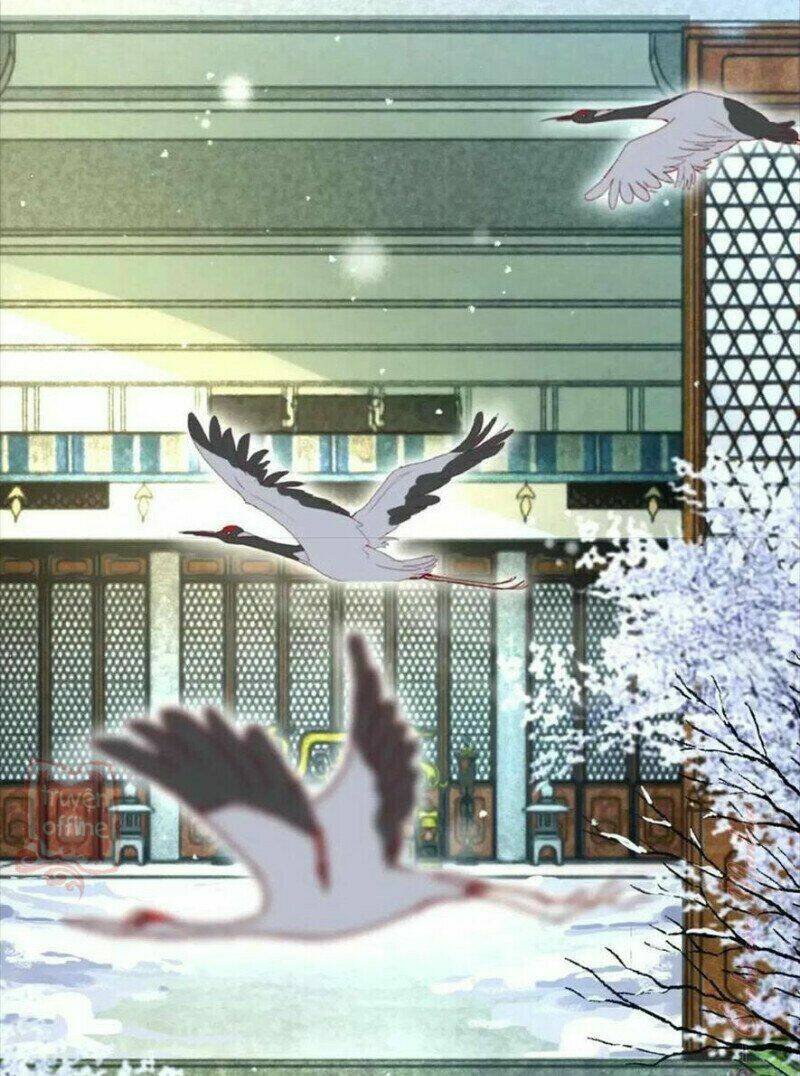 hắc hóa nam chính trực tuyến nuôi thỏ chapter 55 35