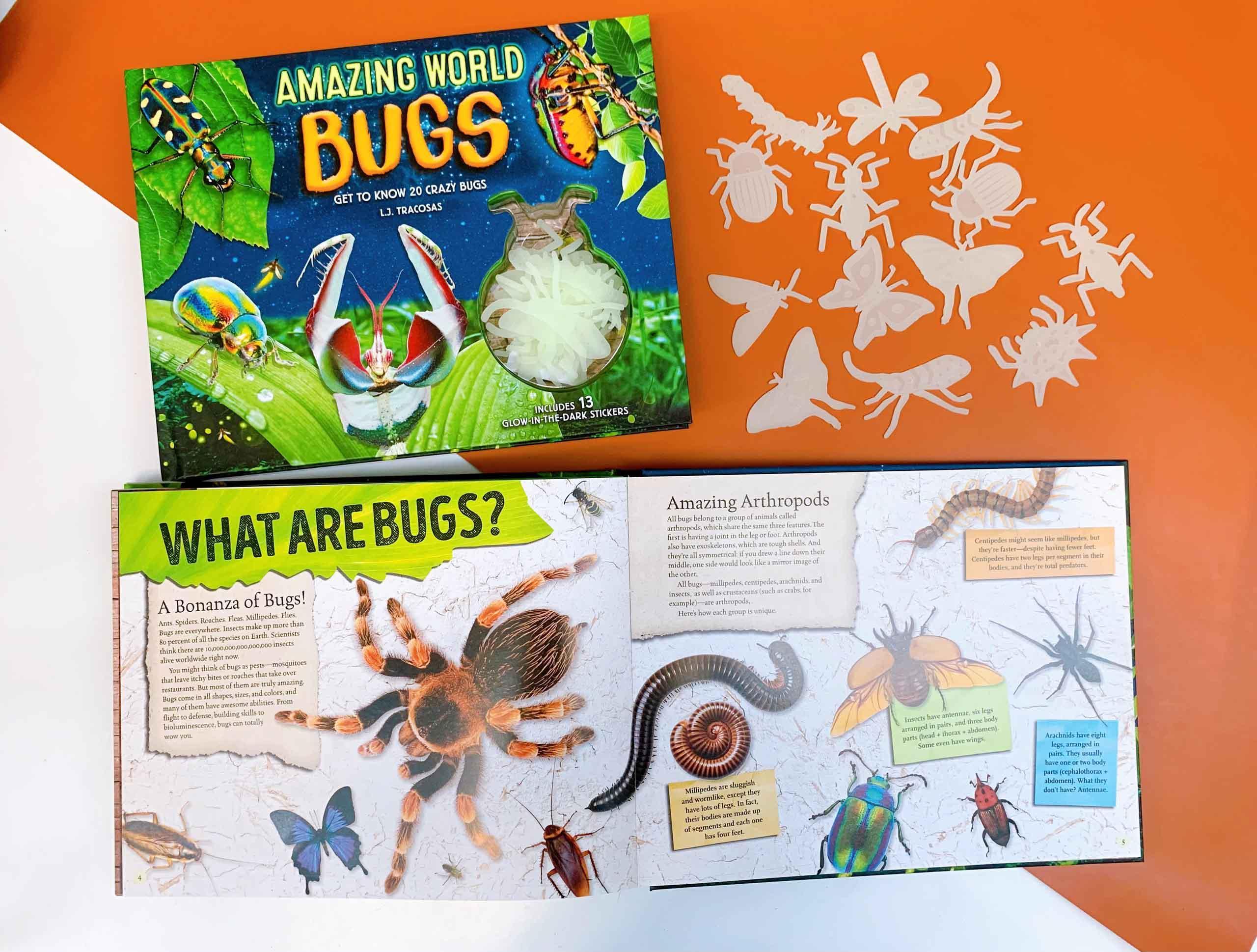 Amazing World: Bugs : Get To Know 20 Crazy Bugs