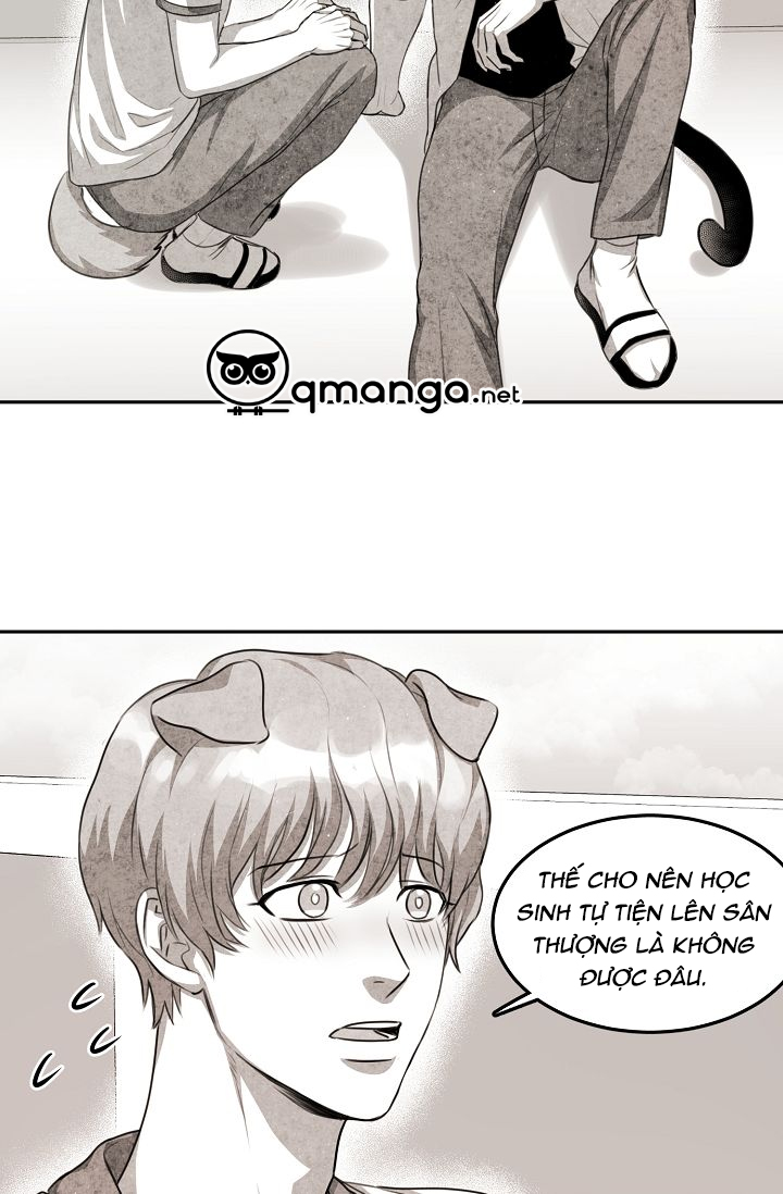 khi cún biết yêu chapter 1 36