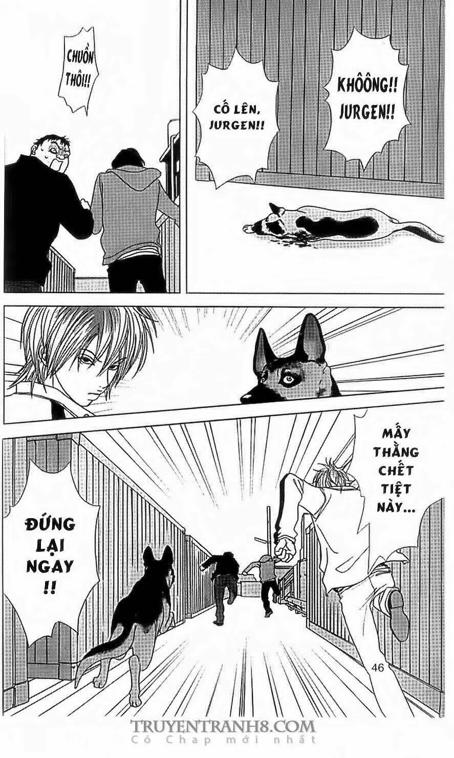 nữ thanh tra cún con chapter 35 13