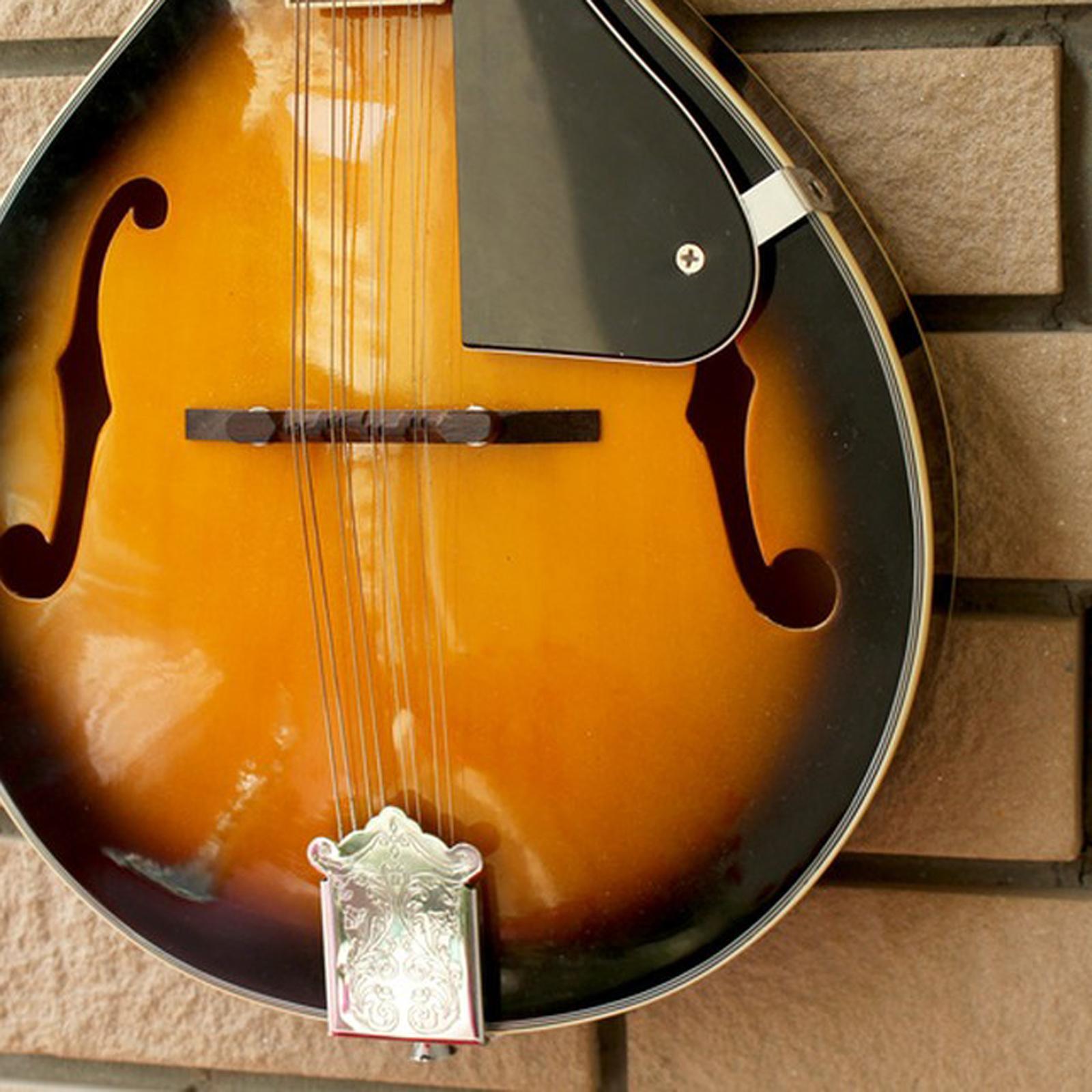 Mandolin String Plate with Screws Replaces Professional Durable Parts for Tailpiece