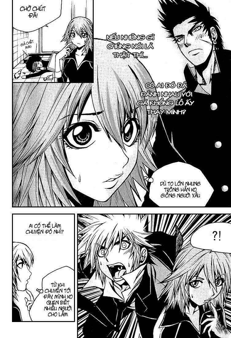 zippy ziggy chapter 11 3