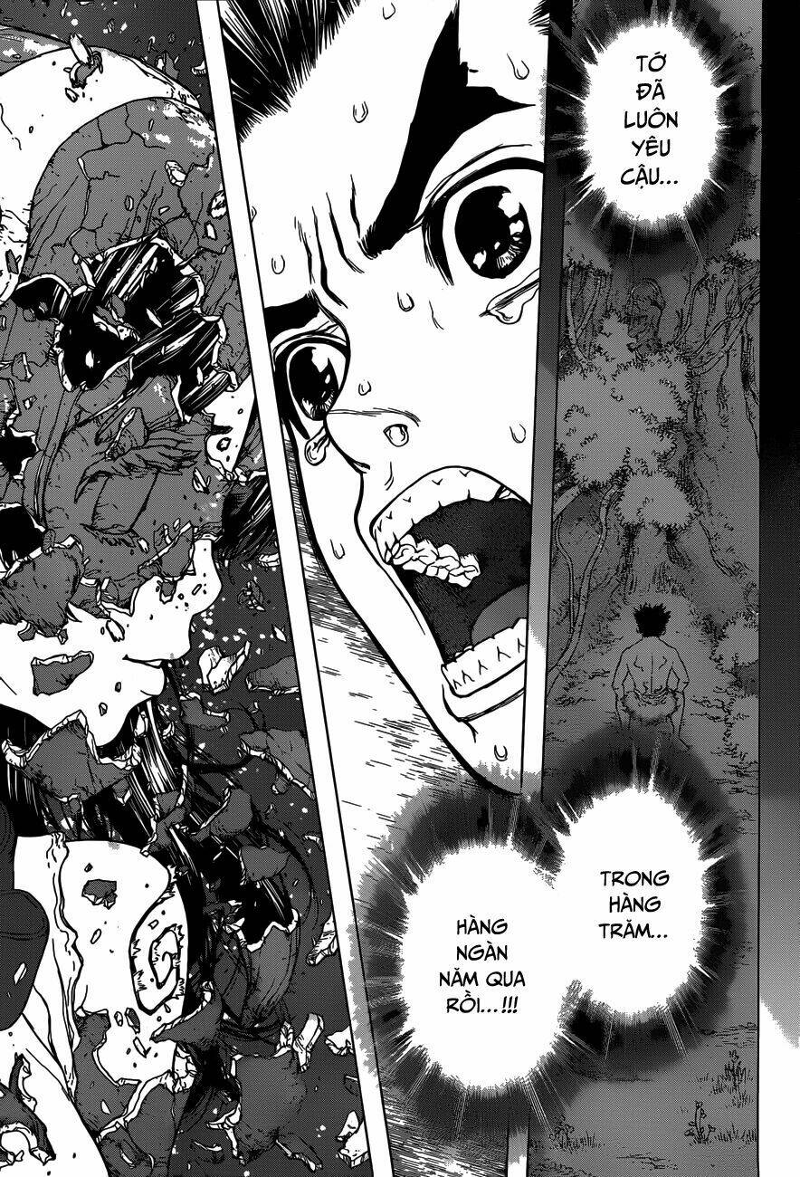 dr.stone - hồi sinh thế giới chapter 5 15