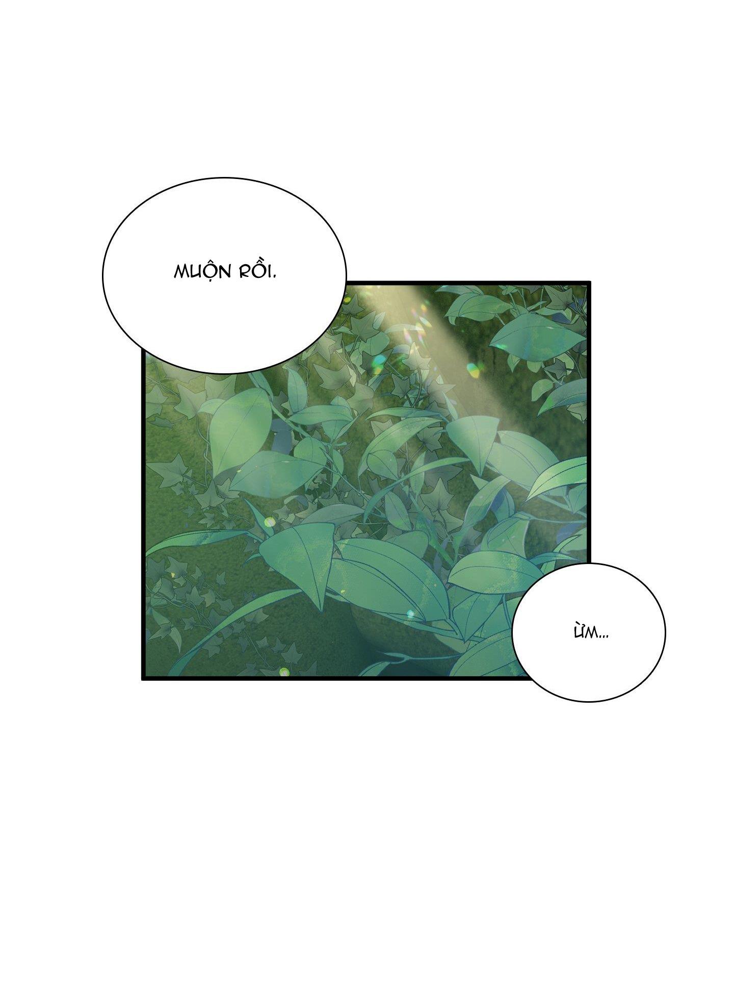 smyrna và capri chapter 33 10