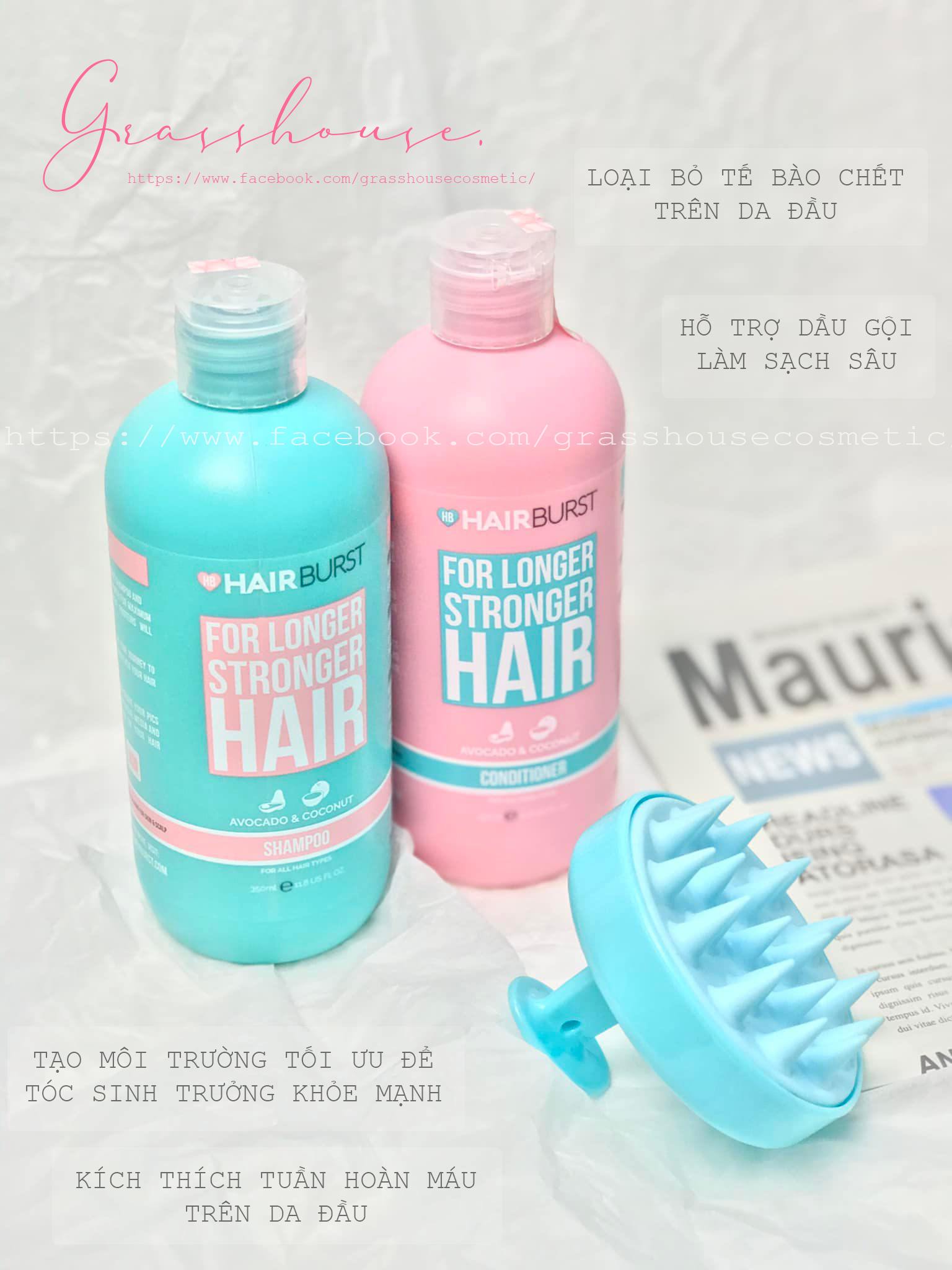 Lược gội đầu và massage da đầu kích thích mọc tóc Hairburst