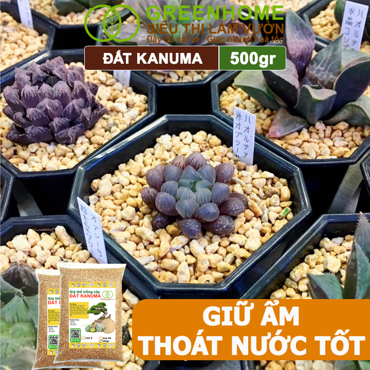 Đất Trồng Cây Kanuma Greenhome, Bao 500gr, Giá Thể Nhiều Khoáng Chất, Trồng Sen Đá, Bonsai