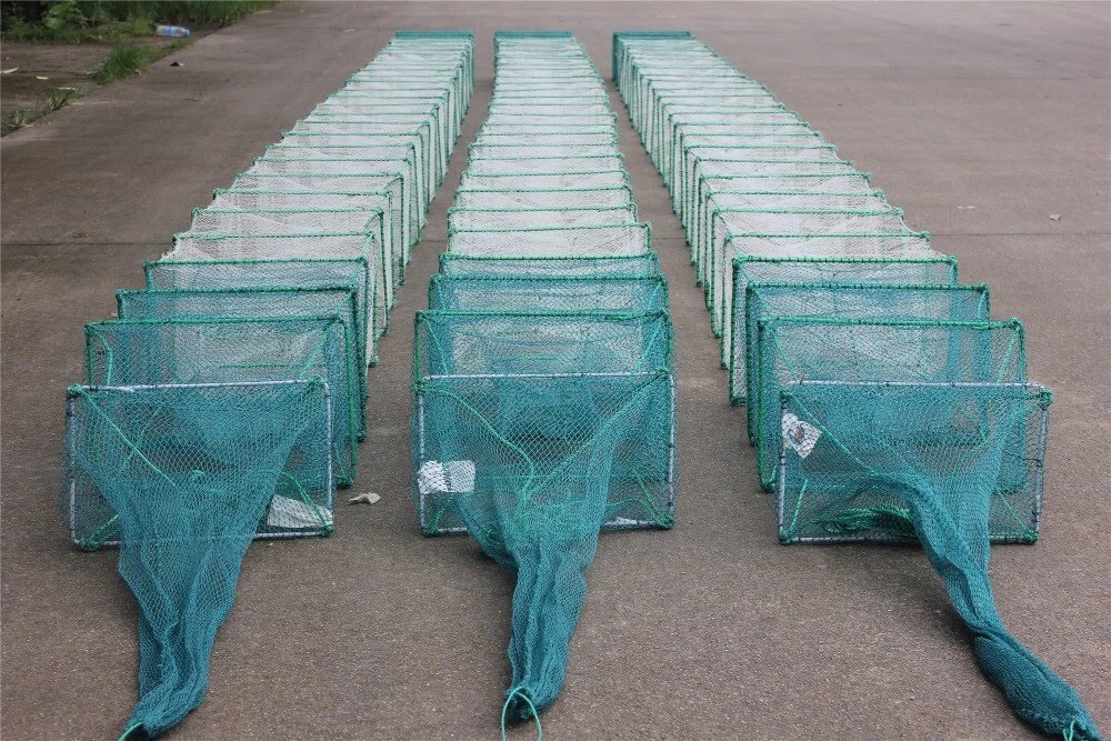 Lưới Lồng Bát Quái 19 khung - kích thước khung 30cm x 50cm bắt cá lớn
