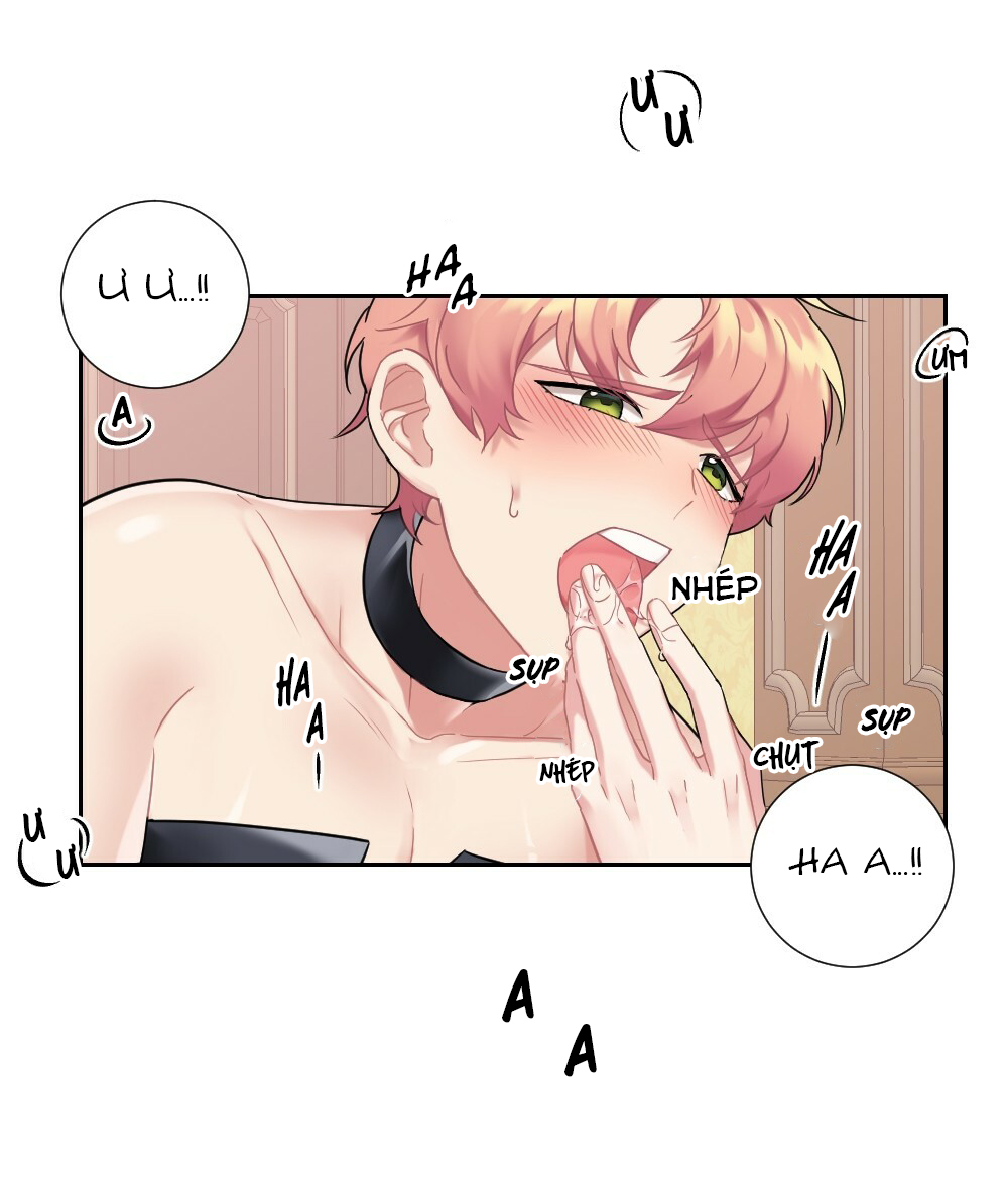 tiểu thư và dàn hầu nam mlem chapter 14 44