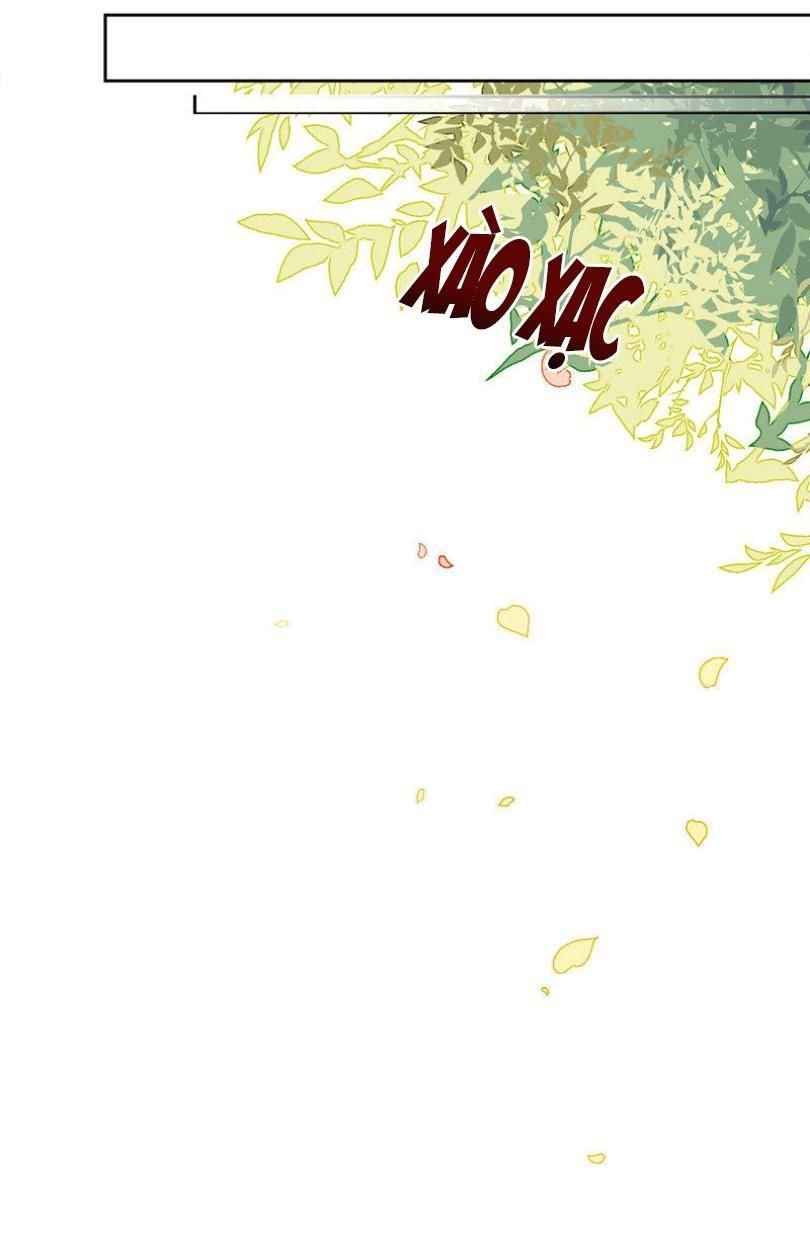 điều gì gọi là hấp dẫn tăng gấp đôi? chapter 5 34