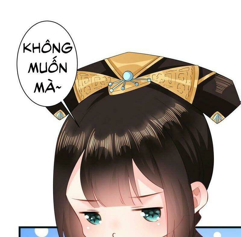 quận chúa vững vàng, thiết lập nhân vật không thể vỡ chapter 54 43