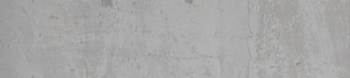 Tạng Phong Hành chapter 204 34