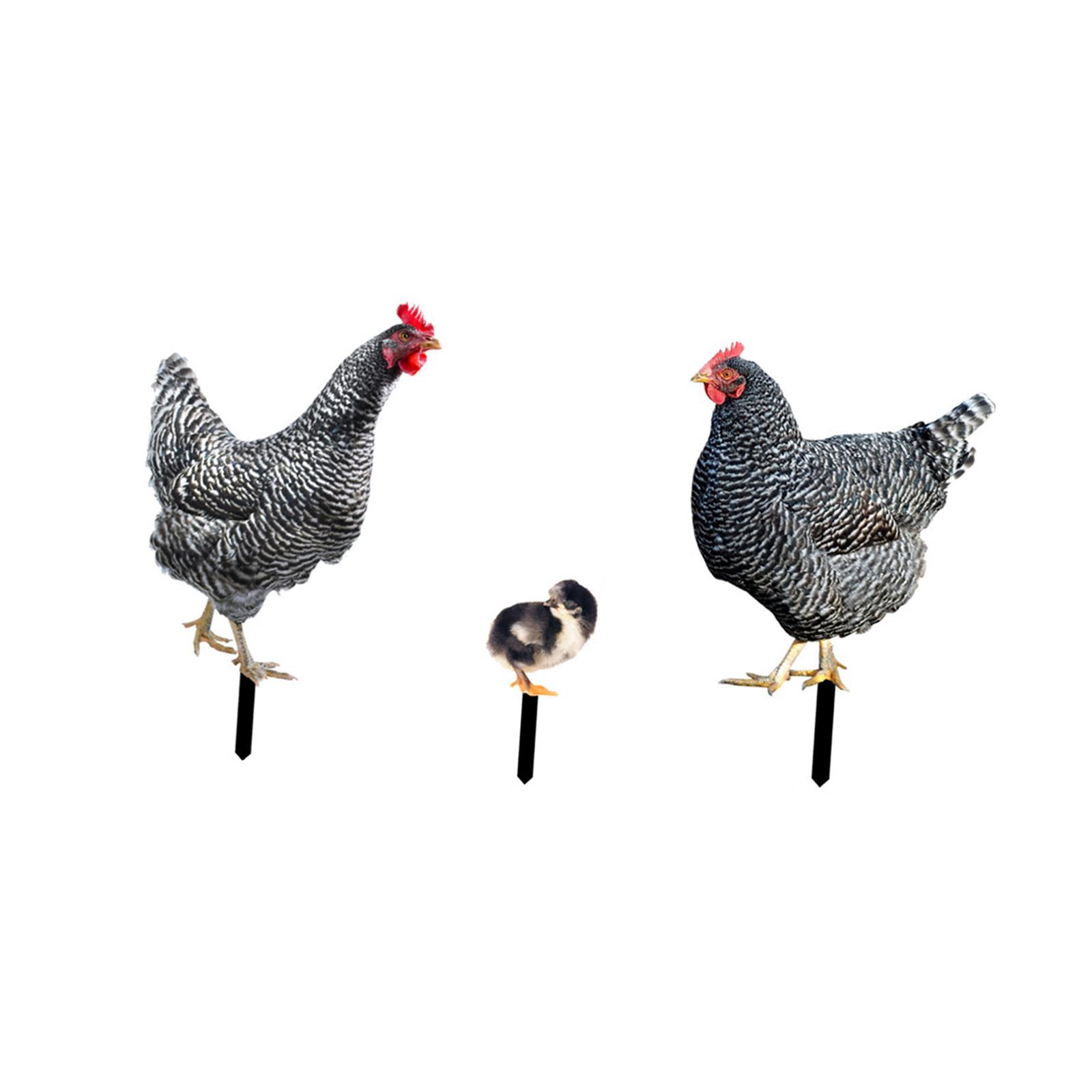 3 Pieces Chicken Animal Statue Animal Shaped Yard Stake for Pathway Decor