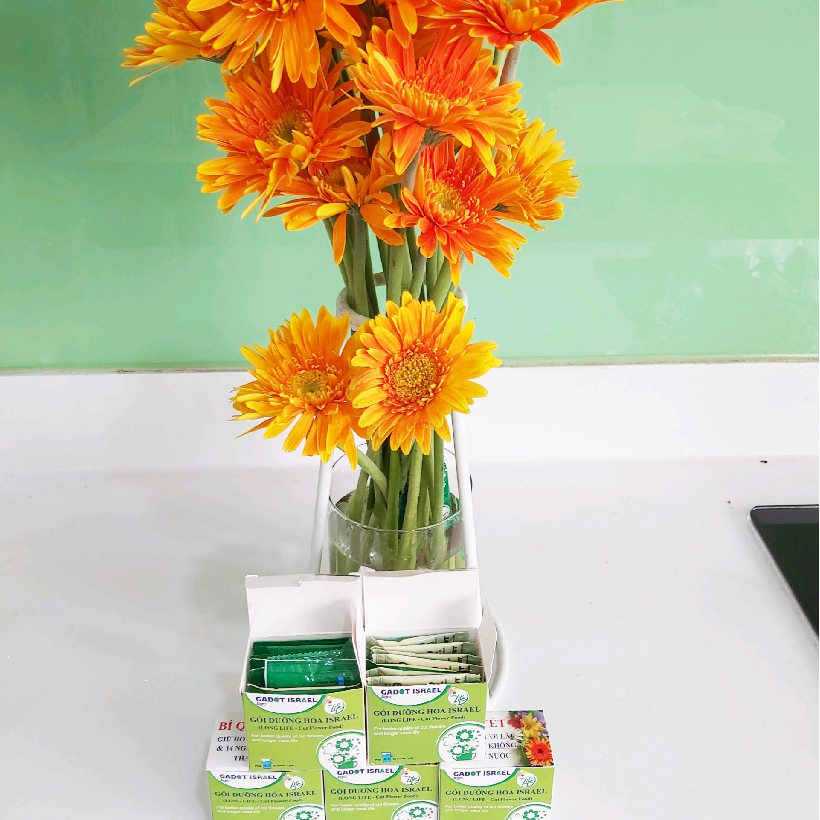 Bột Cắm Hoa Lily Tươi Lâu, Hiệu Longlife nhập khẩu Isarel