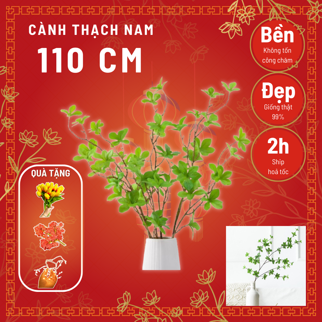 Cành thạch nam nhật bản giả - 1 cành 5 nhánh - một lá 6 cánh đường kính 7cm - dài 105cm - Cây giả, hoa lụa Decor trang trí nhà cửa
