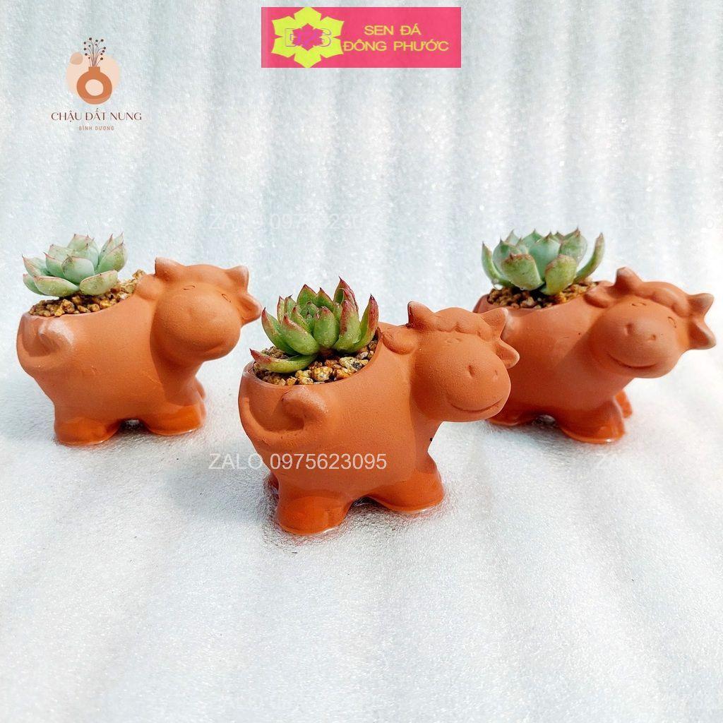 Chậu đất nung hình Cún con 8x8cm - chậu trồng tiểu cảnh sen đá, xương rồng, cây phong thuỷ văn phòng đẹp